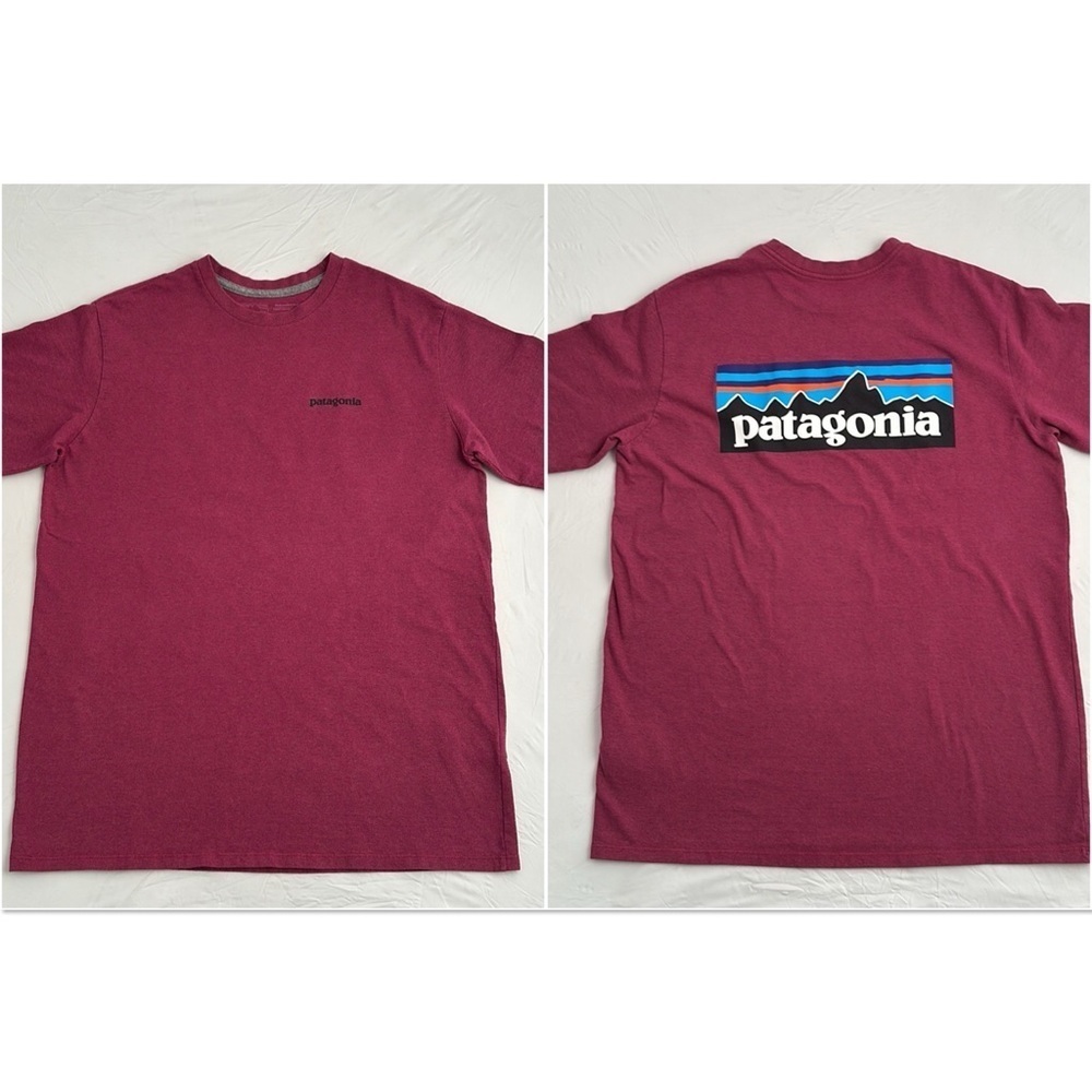 Patagonia P-6 Logo Responsibili-Tee Star Pink crew neck short sleeve t-shirt